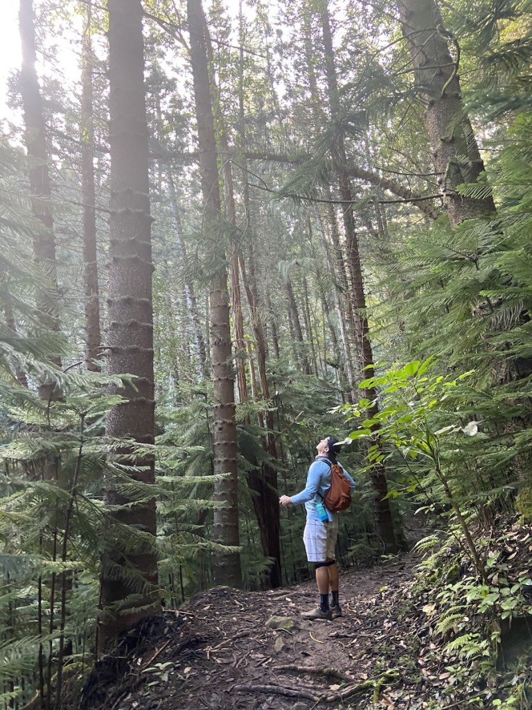Oahuhikes Hauula