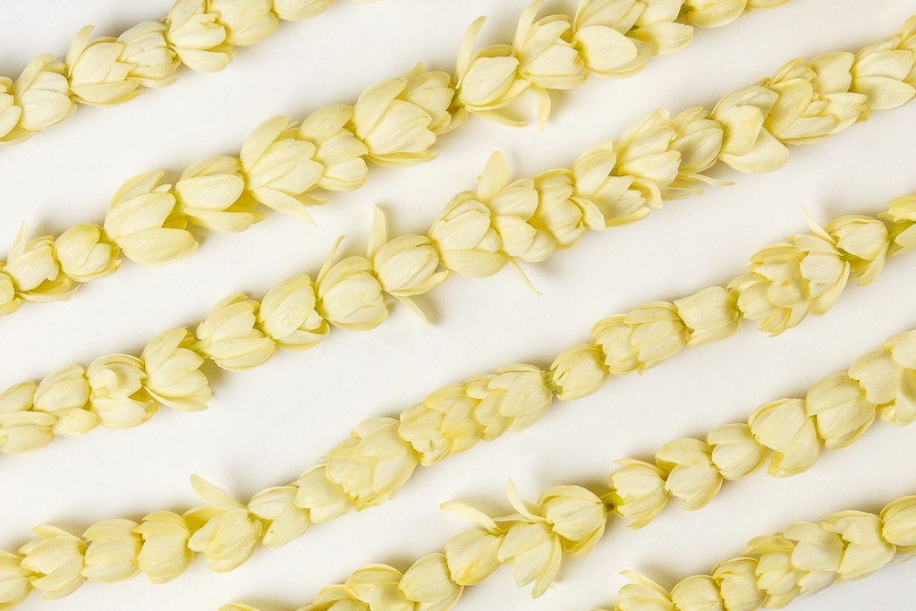 2018 Leis5