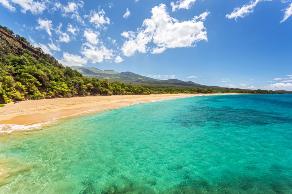 Tropical Paradise Found