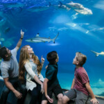 Maui Ocean Center