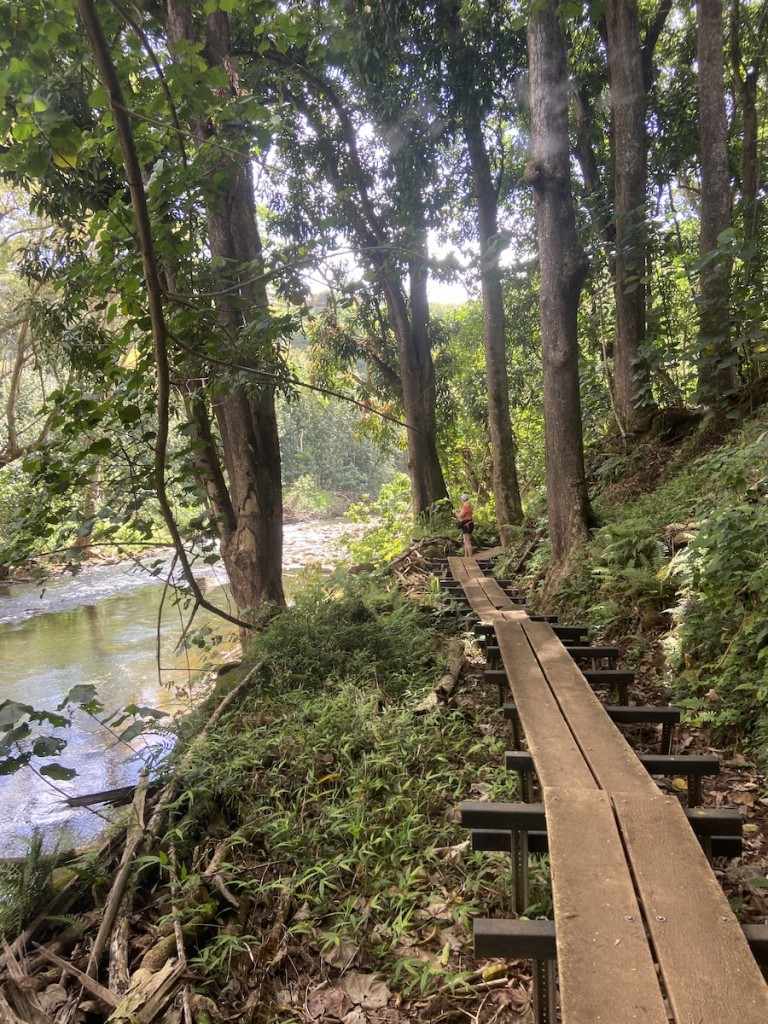 Waialuakayak Hike