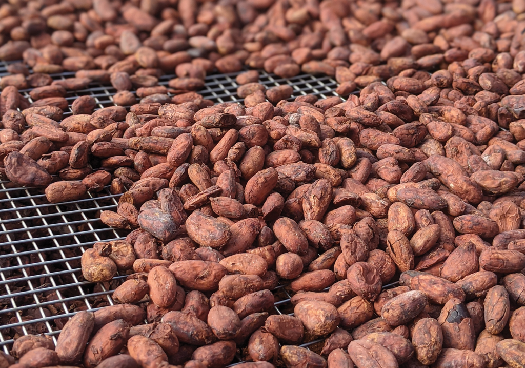 Lavaloha Beans