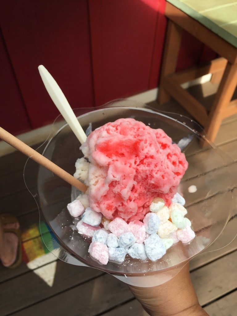 Aokis Shaveice