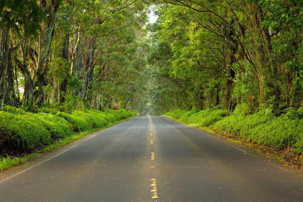 Road To Poipu