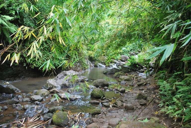 Maunawili Hiking Trail In Oahu, Hawaii