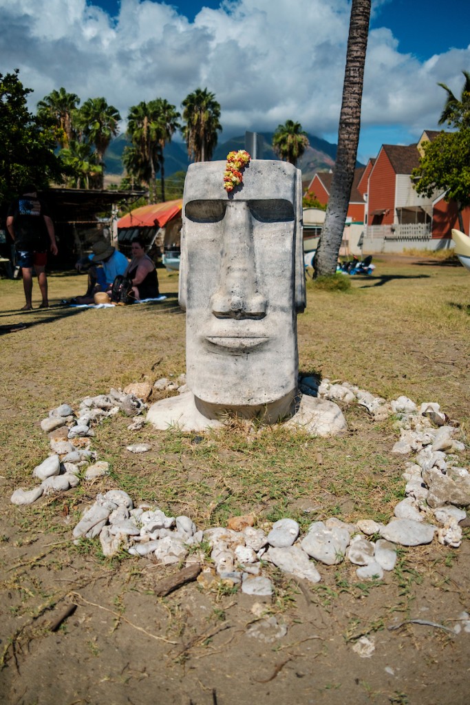 Him2106 Ay Maui 362