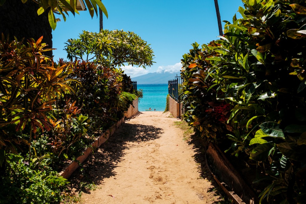 Him2106 Ay Maui 279