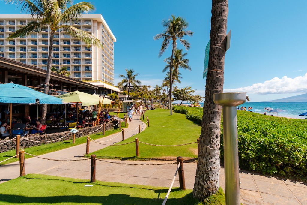 Him2106 Ay Maui 347