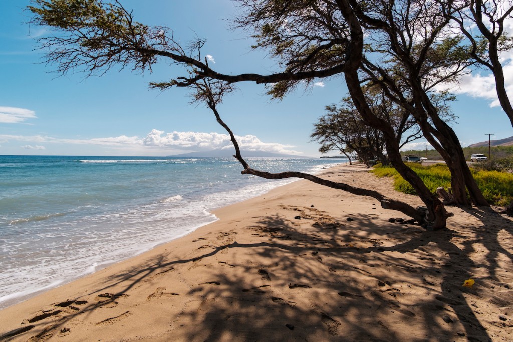 Him2106 Ay Maui 421