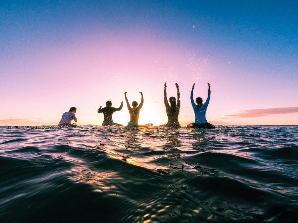 Surf4 Katgaskin