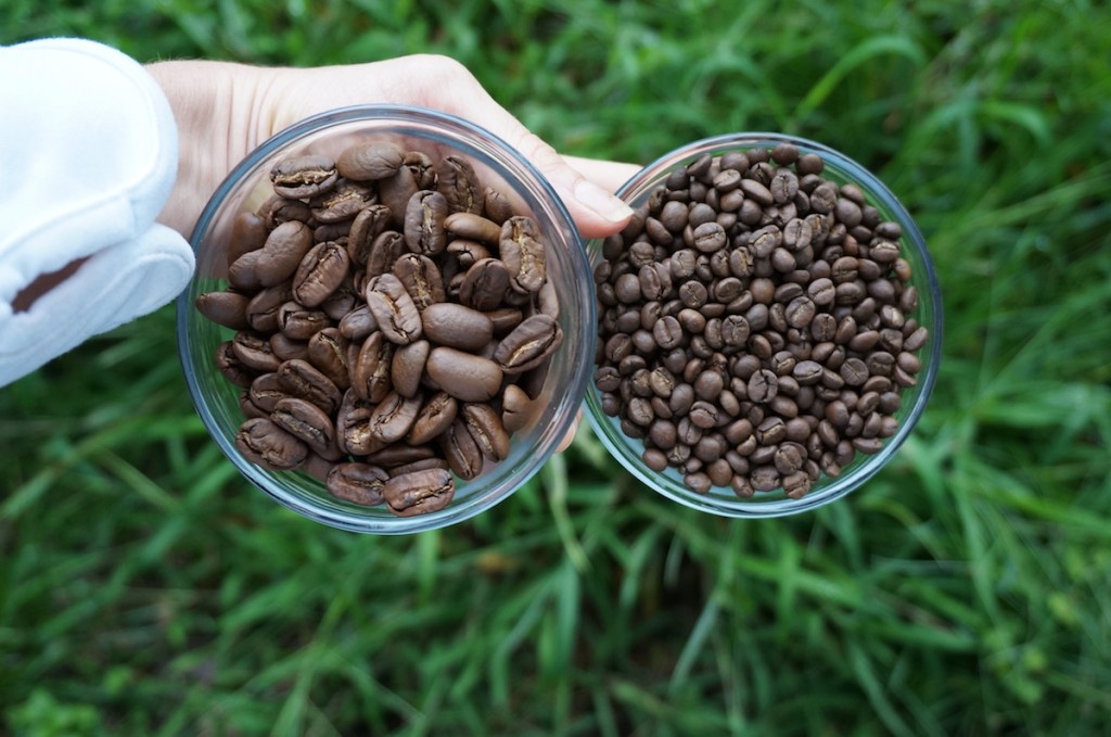 Shop Bigislandcoffee Beans