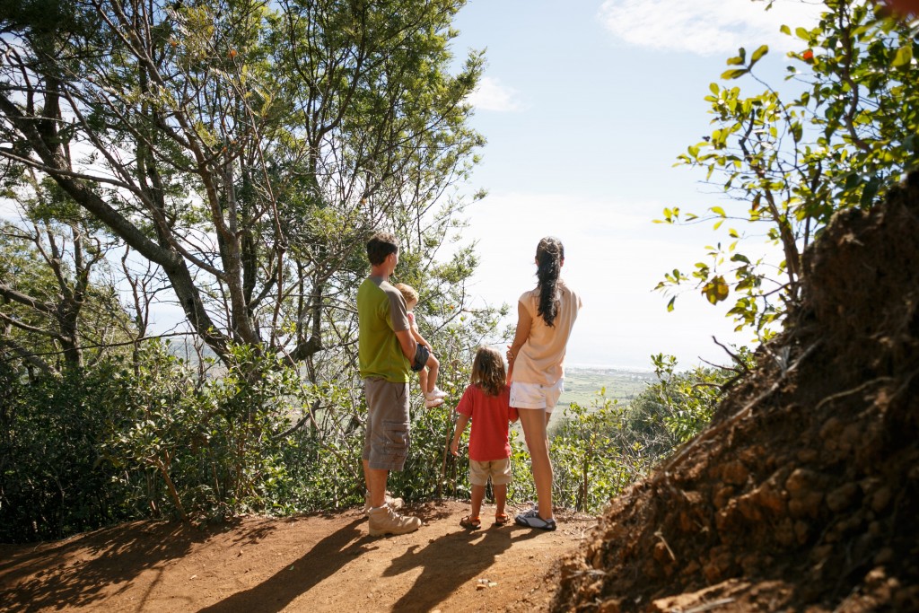 Nounou Mountan Family At Top Rcca