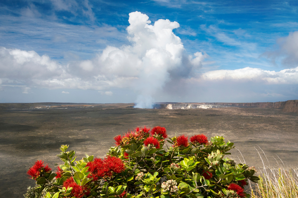 Ohialehuakilauea