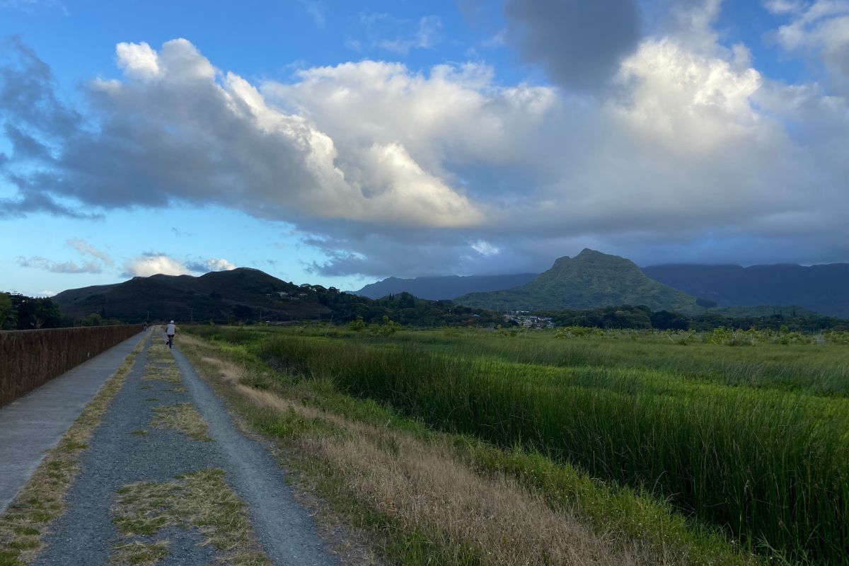 Kawainuimarsh