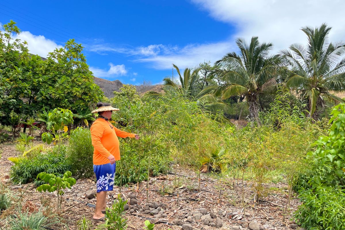Kipukaolowalu