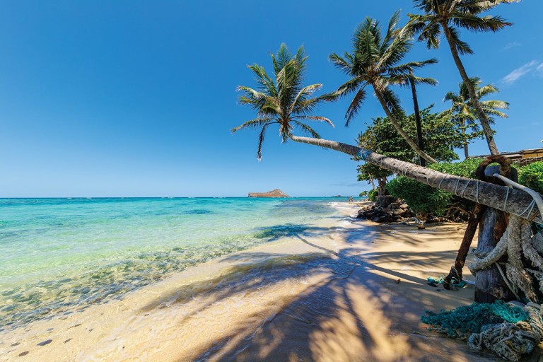Himwaimanalobeachay
