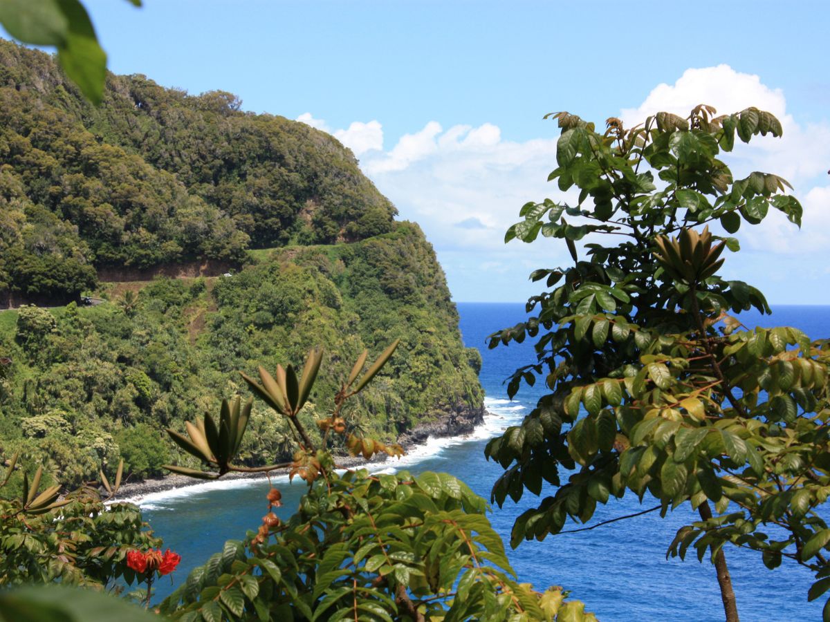 Roadtohanamaui