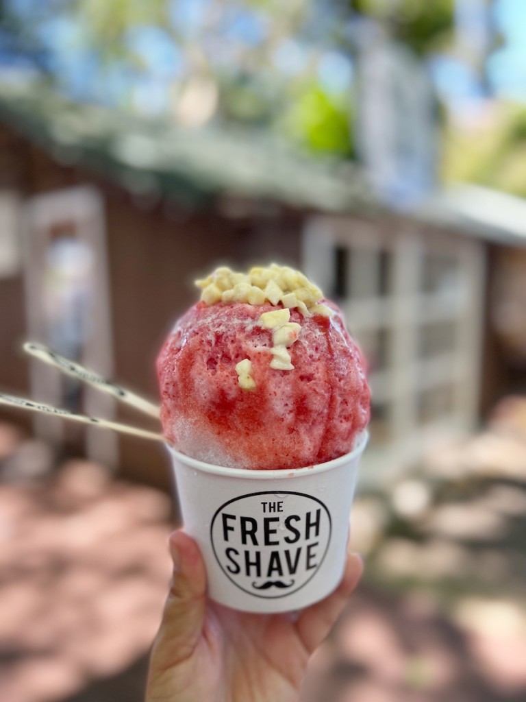 20221003 10essentialkauai Ctf Shaveice