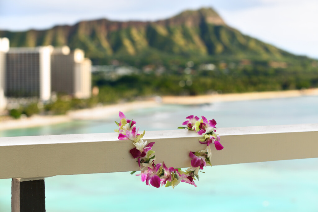 Hawaii Waikiki Travel Lei Flower Necklace Concept