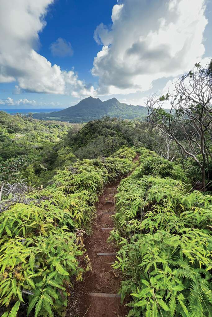 07 Maunawili Falls Trail Ctf
