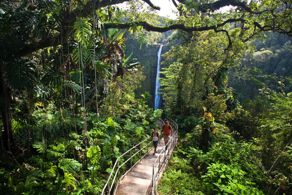 20230608 Mistakes Hawaii Island Ctf Akaka Falls Tor Johnson 04908tif