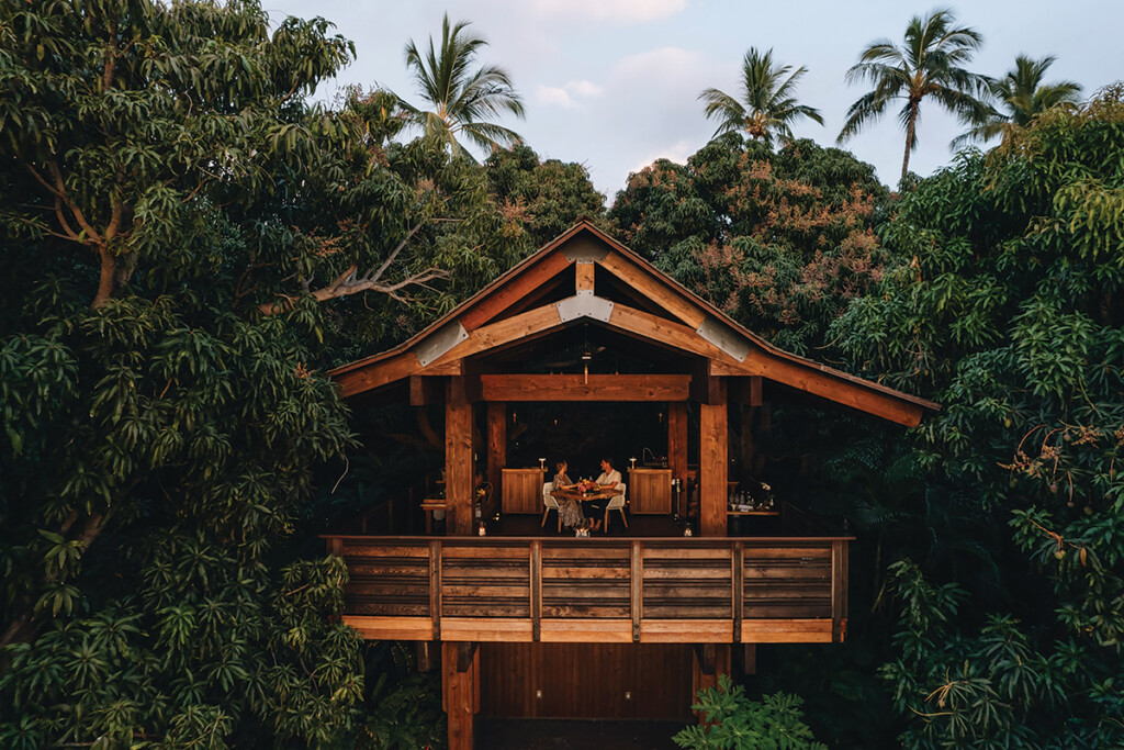01 Treehouse Hotel Wailea