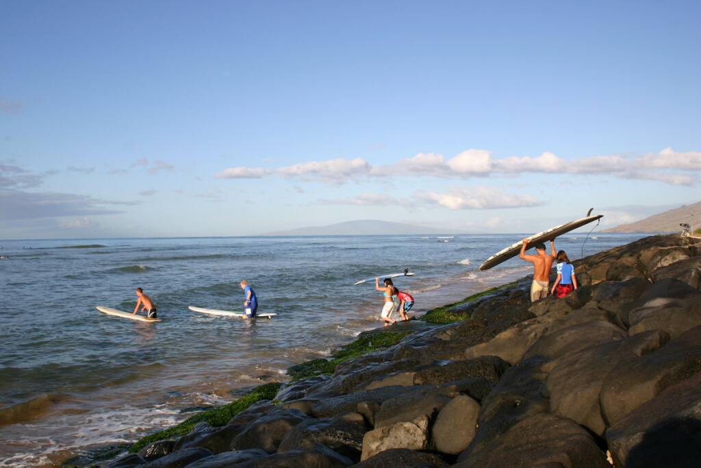 Surf's Up