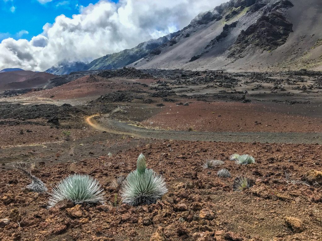 Maui