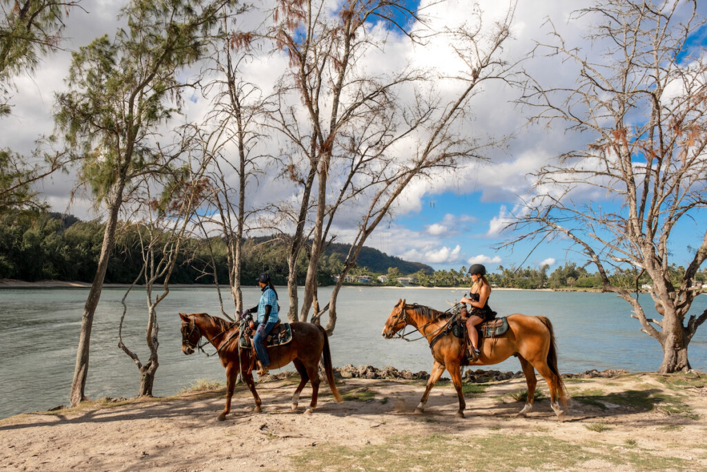 2024026 Romance Hawaii Llk Horseback Riding At Stables