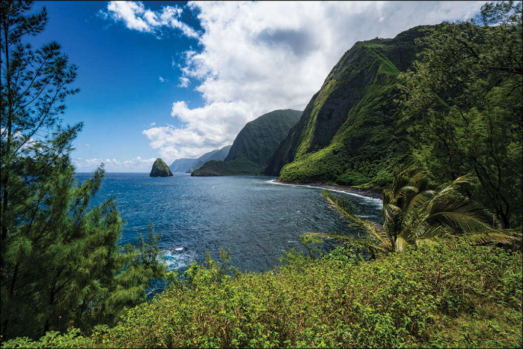 04 Molokai Emerald Sea Cliffs Pf Bentley