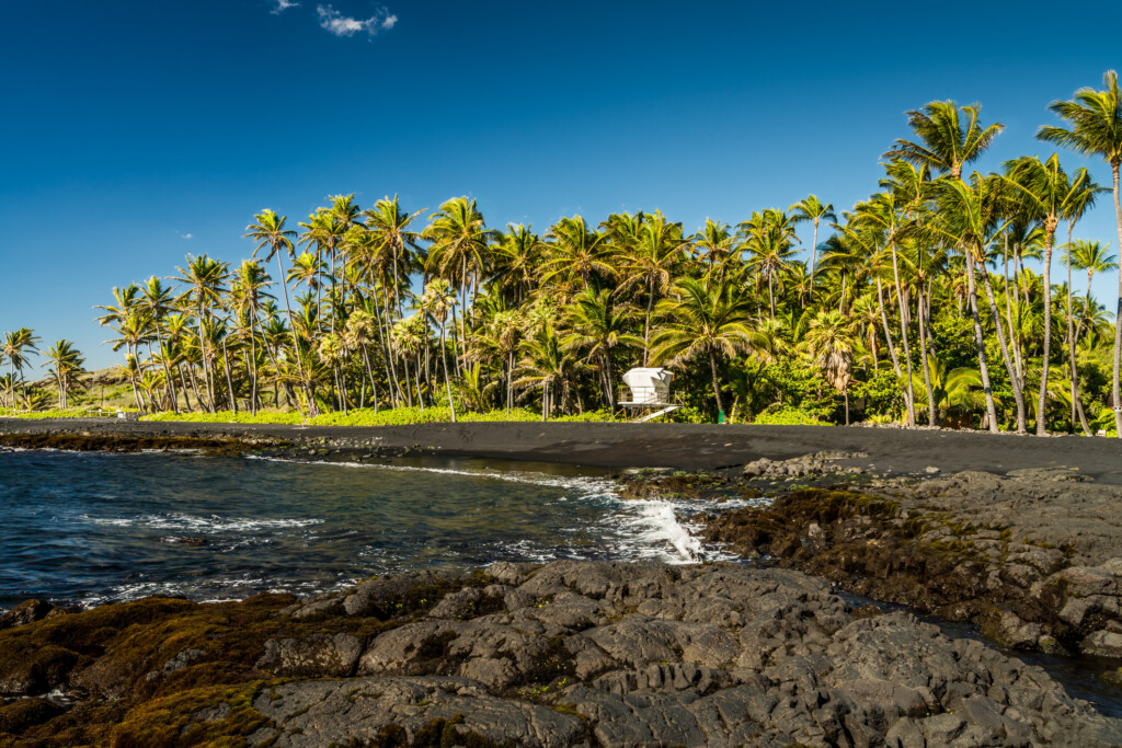 Punalu’u Beach #3