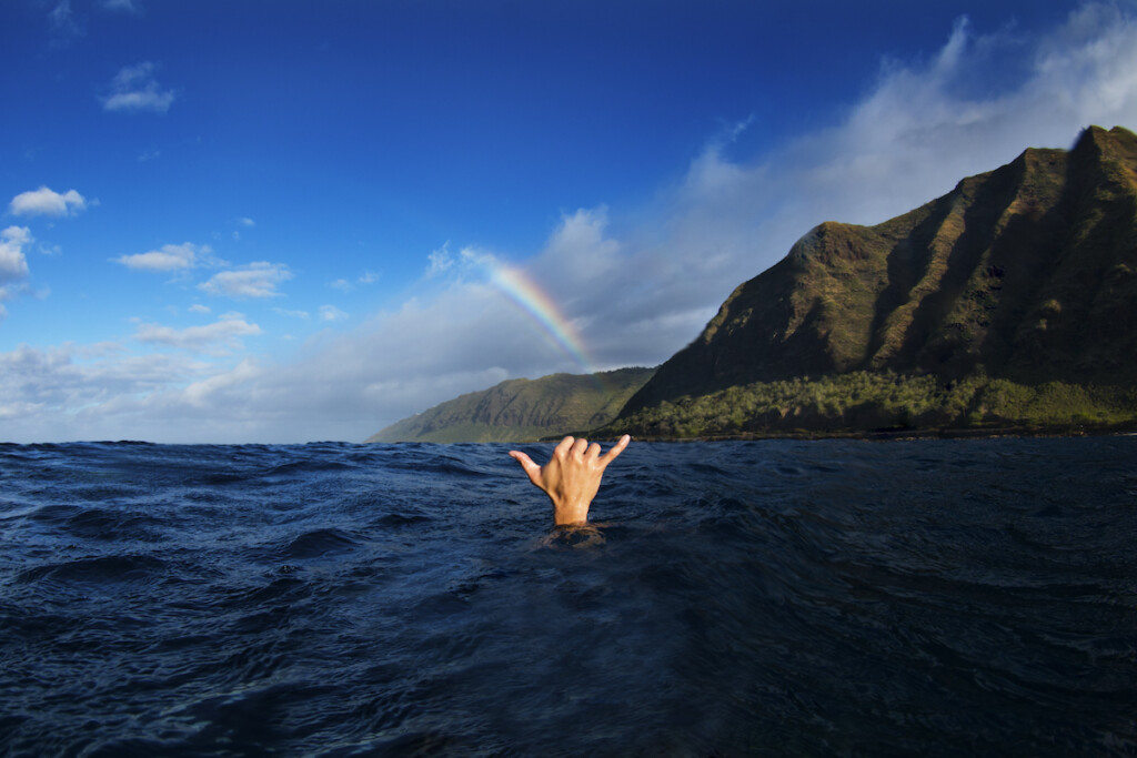 Shaka