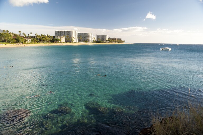 Hawaiian Vacation