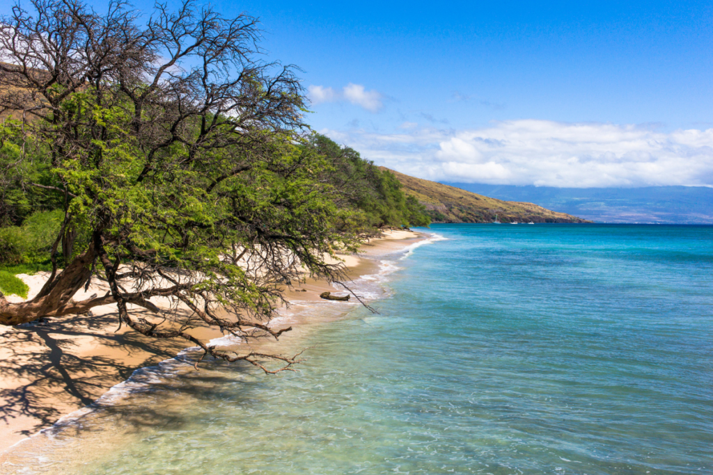 Ukumehamabeachgetty