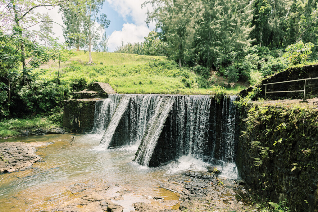 Wai Koa Loop Trail