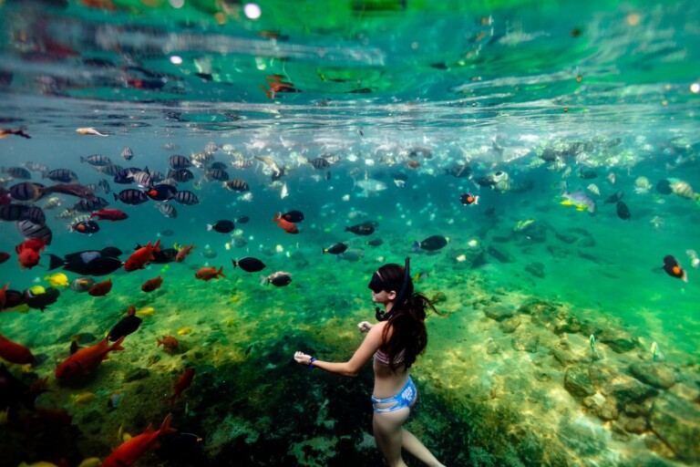20250218 Fs Hualalai Pools Kon 2076