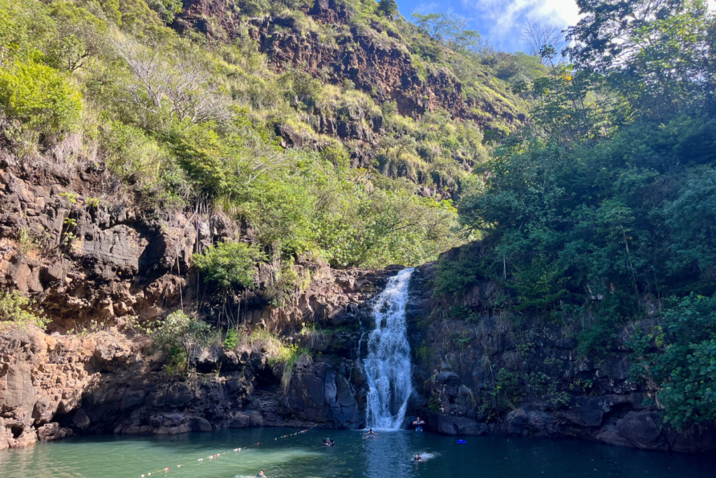 Waimeavalleygm