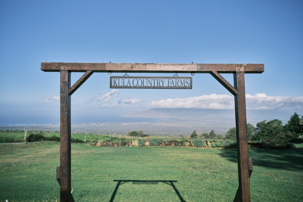 Kulafarmshta