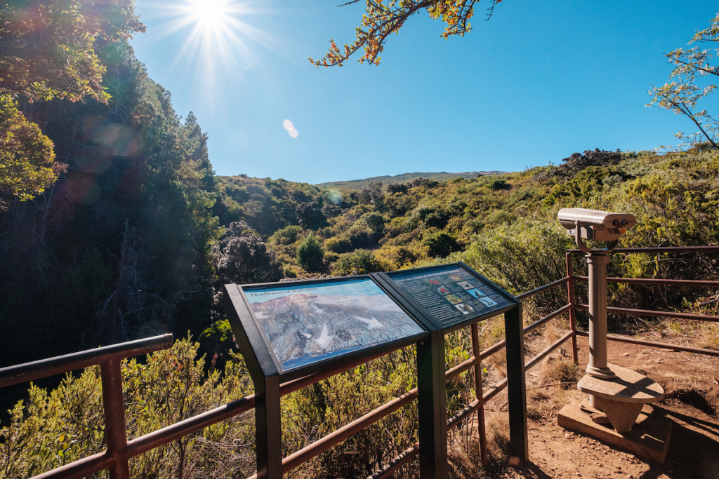 Hosmergrovetrailay