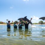 Sea Life Park