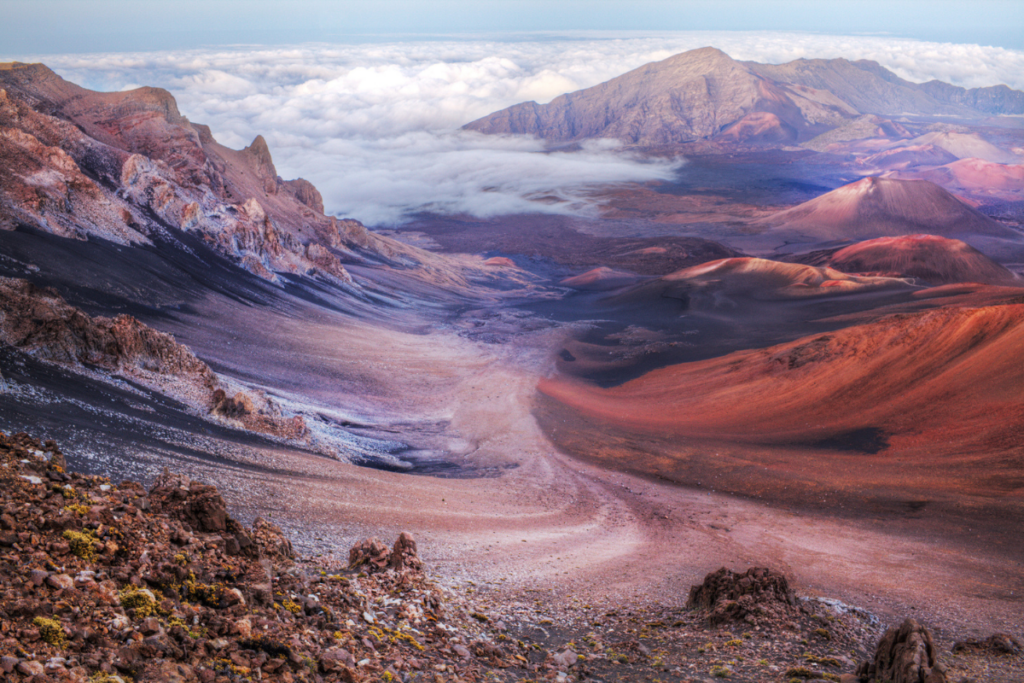 Mauigetty