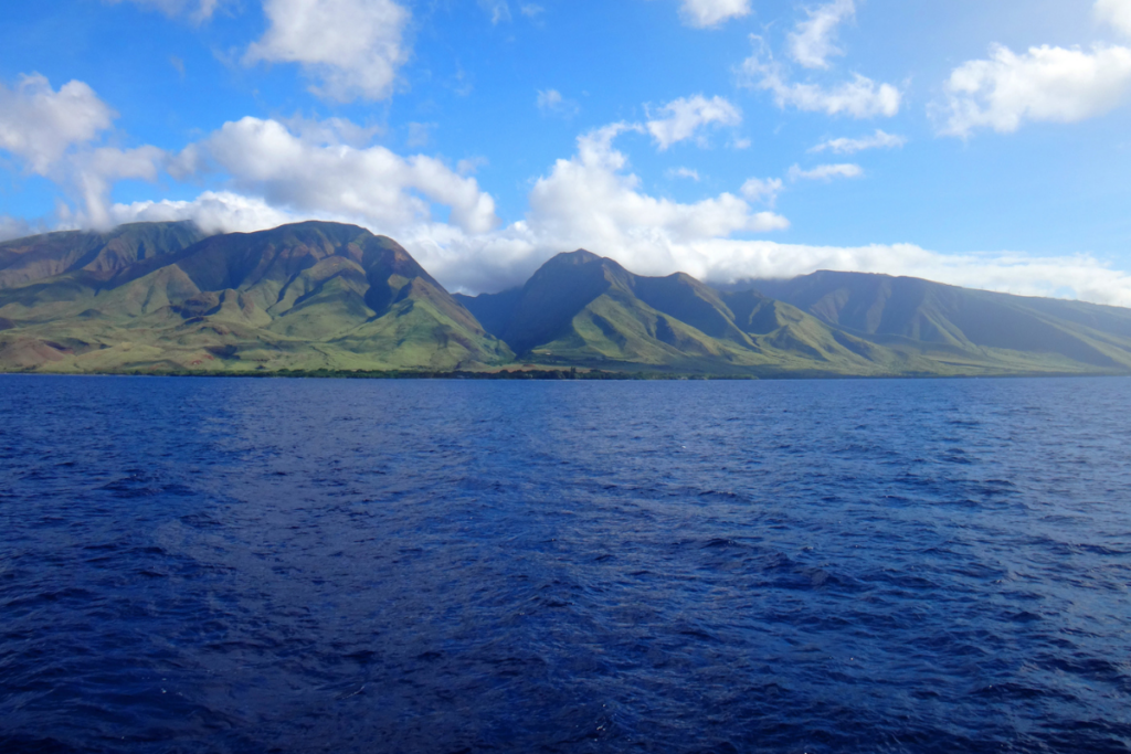 Lahainamaui