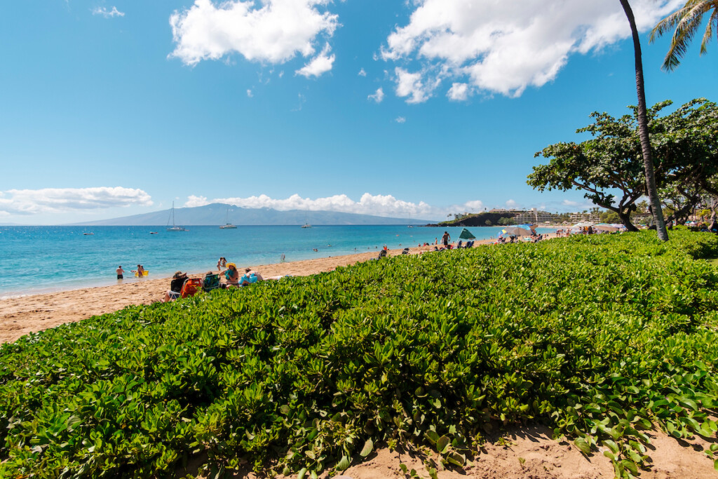 Him2106 Ay Maui 311