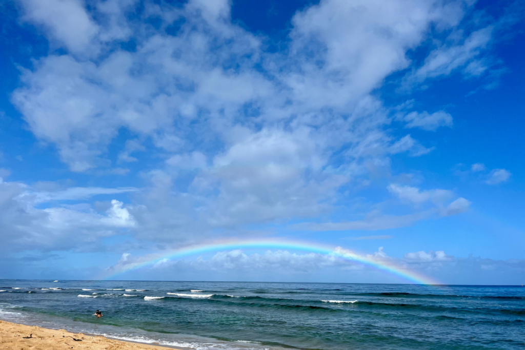 Haleiwabeachpark