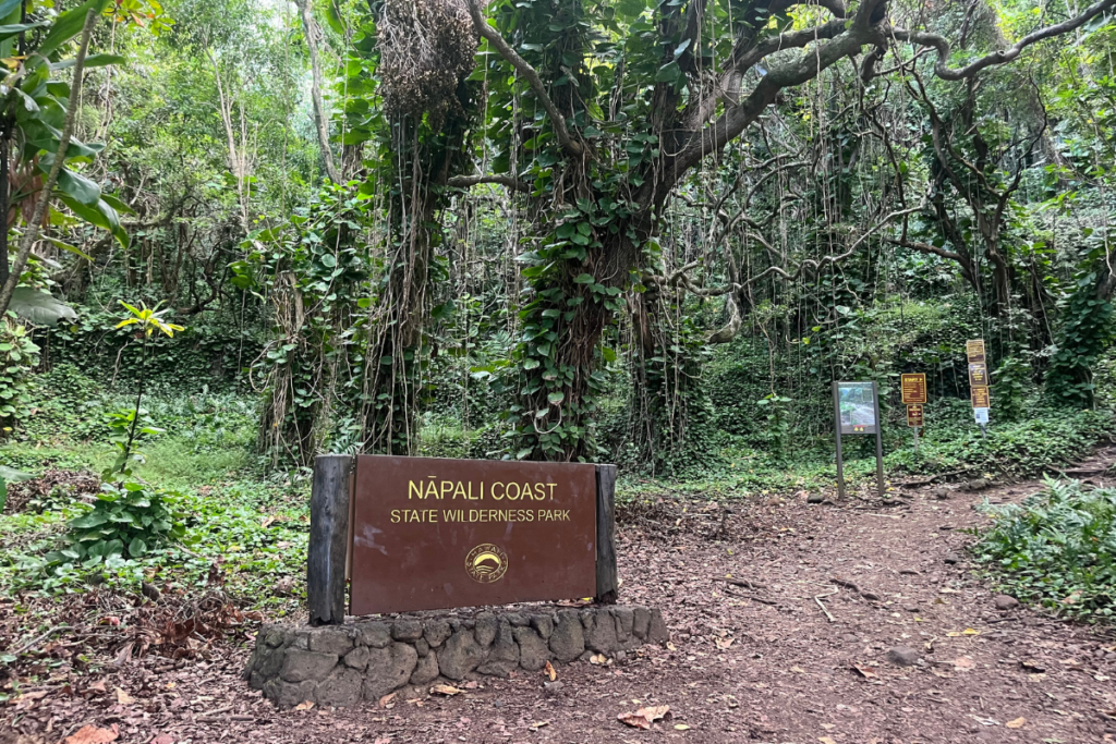 Napalicoaststatewilderness