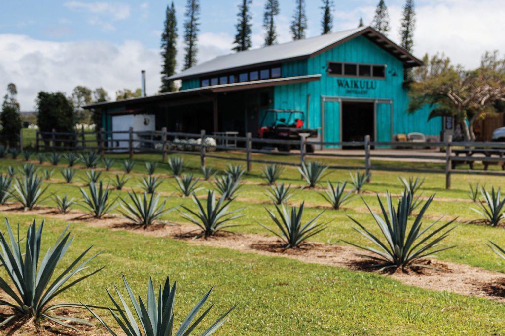 Waikulu Distillery Makawao, Maui
