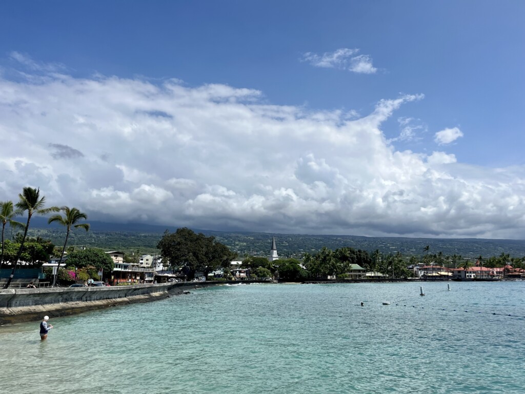 Aliidrivekona